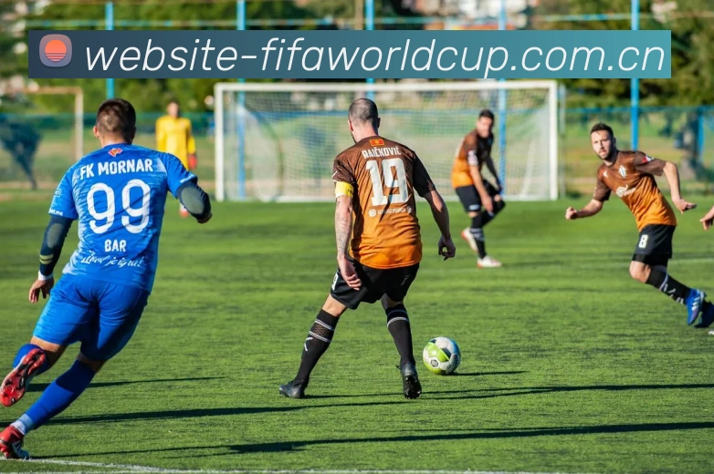 世界杯买球网站发展历程